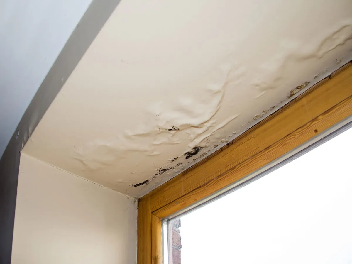 Humidity and Moisture Damage Roof Repair in Birmingham